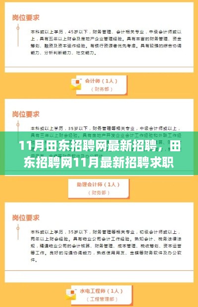 田东招聘网最新招聘求职全攻略，轻松找到心仪工作的步骤指南（11月版）