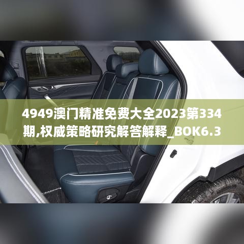 4949澳门精准免费大全2023第334期,权威策略研究解答解释_BOK6.36