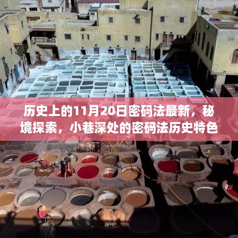 历史上的11月20日密码法最新，秘境探索，小巷深处的密码法历史特色小店