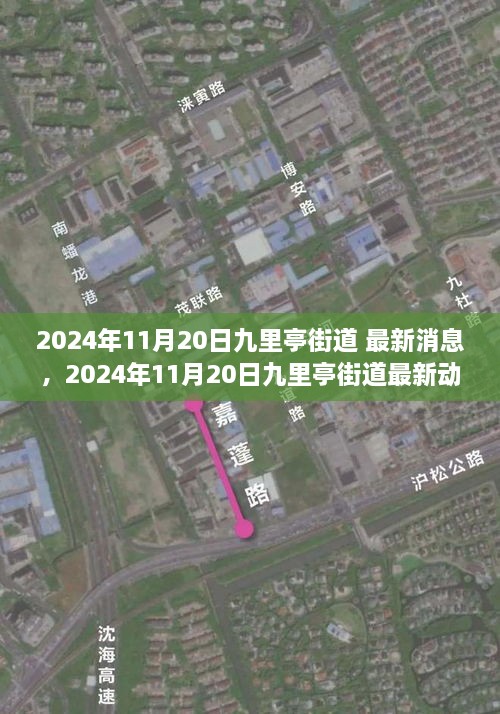 2024年11月20日九里亭街道最新动态及消息一览