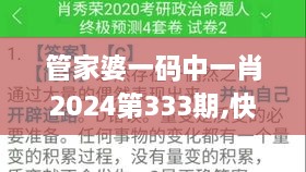 管家婆一码中一肖2024第333期,快速解答方案实践_QIM8.32