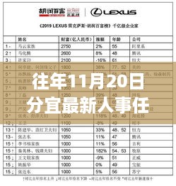 往年11月20日分宜最新人事任免，往年11月20日分宜最新人事任免步骤详解，从了解政策到完成任务的全面指南