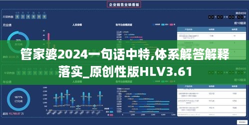 管家婆2024一句话中特,体系解答解释落实_原创性版HLV3.61