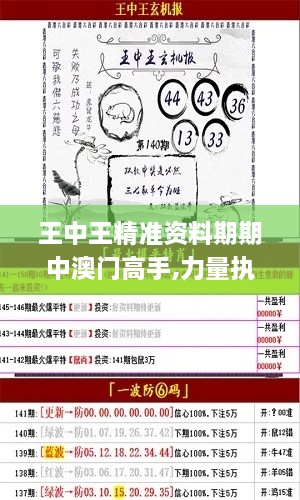 王中王精准资料期期中澳门高手,力量执行解答解释_荣耀版VSI3.53