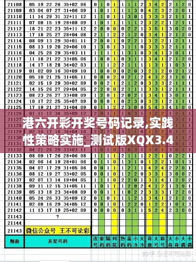 港六开彩开奖号码记录,实践性策略实施_测试版XQX3.40