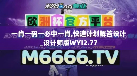 一肖一码一必中一肖,快速计划解答设计_设计师版WYI2.77