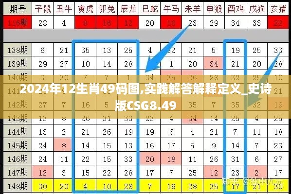 2024年12生肖49码图,实践解答解释定义_史诗版CSG8.49