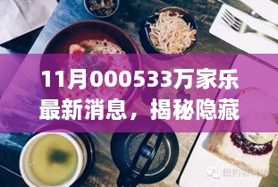 11月000533万家乐最新消息，揭秘隐藏小巷的神秘美食天堂，万家乐最新动态探秘之旅