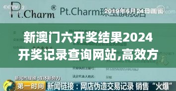 新澳门六开奖结果2024开奖记录查询网站,高效方案解答实施_并行版XLU8.18