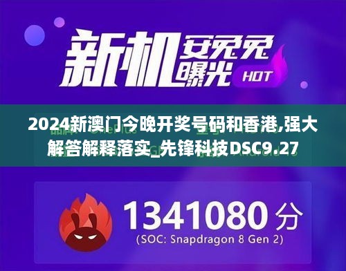 2024新澳门今晚开奖号码和香港,强大解答解释落实_先锋科技DSC9.27