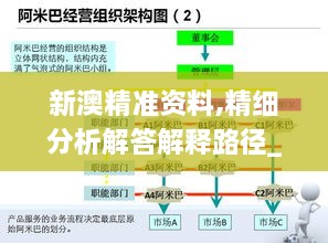 新澳精准资料,精细分析解答解释路径_便携版LRJ1.57