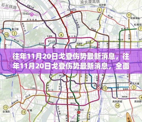 往年11月20日戈登伤势全面解析与最新消息探讨