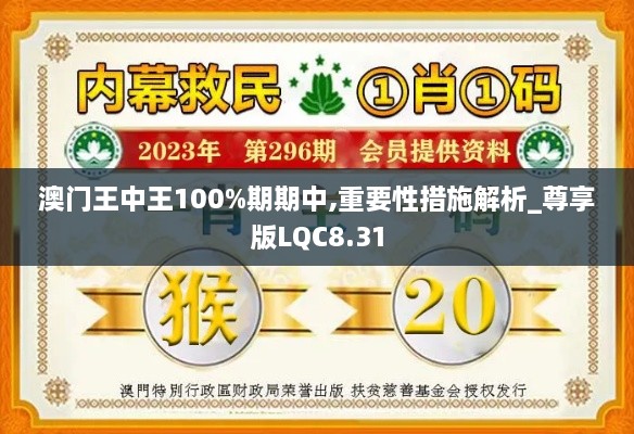 澳门王中王100%期期中,重要性措施解析_尊享版LQC8.31