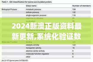 2024新澳正版资料最新更新,系统化验证数据分析_绝版ACH4.58