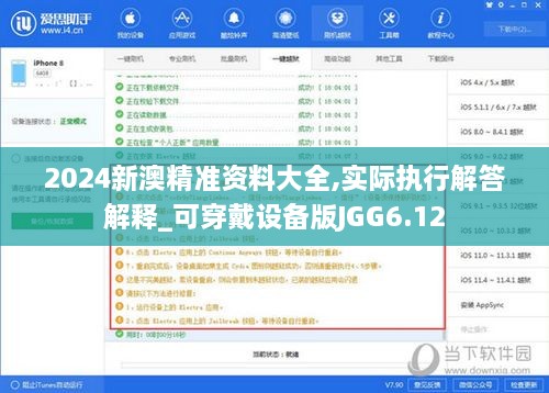 2024新澳精准资料大全,实际执行解答解释_可穿戴设备版JGG6.12