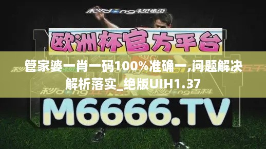 管家婆一肖一码100%准确一,问题解决解析落实_绝版UIH1.37