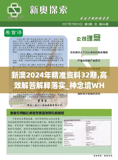 新澳2024年精准资料32期,高效解答解释落实_神念境WHF5.24