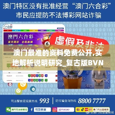 澳门最准的资料免费公开,实地解析说明研究_复古版BVN7.58