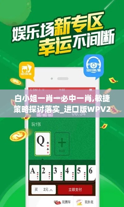 白小姐一肖一必中一肖,敏捷策略探讨落实_进口版WPV2.64