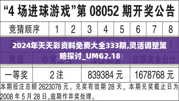 2024年天天彩资料免费大全333期,灵活调整策略探讨_UMG2.18