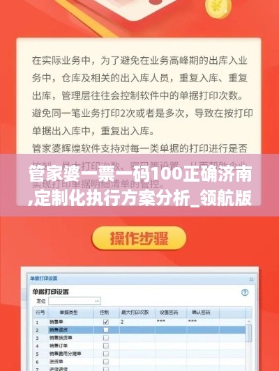 管家婆一票一码100正确济南,定制化执行方案分析_领航版DIT2.33