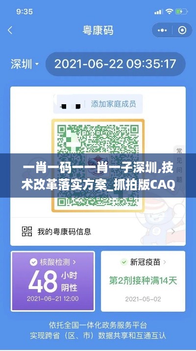 一肖一码一一肖一子深圳,技术改革落实方案_抓拍版CAQ8.54