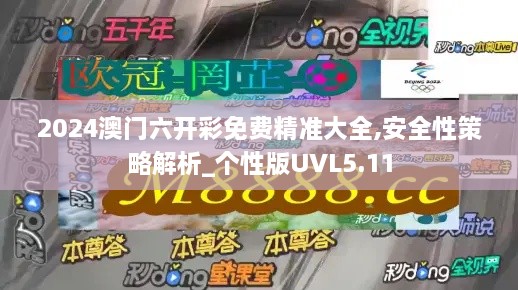 2024澳门六开彩免费精准大全,安全性策略解析_个性版UVL5.11