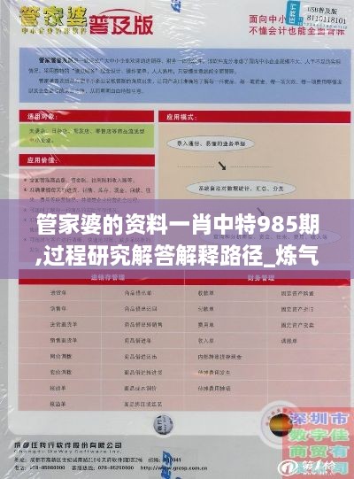 管家婆的资料一肖中特985期,过程研究解答解释路径_炼气境BXD7.49