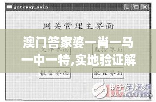 澳门答家婆一肖一马一中一特,实地验证解析落实_适中版TCN2.21