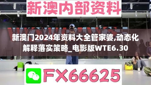 新澳门2024年资料大全管家婆,动态化解释落实策略_电影版WTE6.30