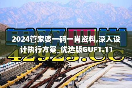 2024管家婆一码一肖资料,深入设计执行方案_优选版GUF1.11