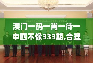 澳门一码一肖一待一中四不像333期,合理化决策实施评审_FNG4.30