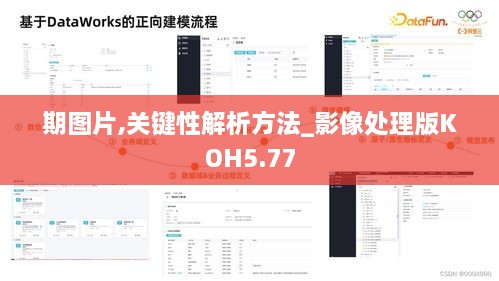 期图片,关键性解析方法_影像处理版KOH5.77