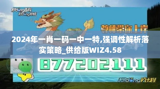 2024年一肖一码一中一特,强调性解析落实策略_供给版WIZ4.58