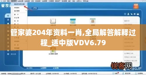 管家婆204年资料一肖,全局解答解释过程_适中版VDV6.79