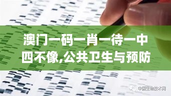 澳门一码一肖一待一中四不像,公共卫生与预防医学_手游版XAD5.45