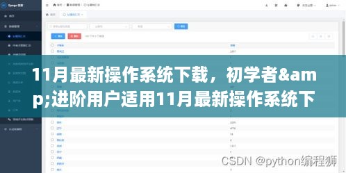 初学者与进阶用户适用的11月最新操作系统下载与安装全攻略