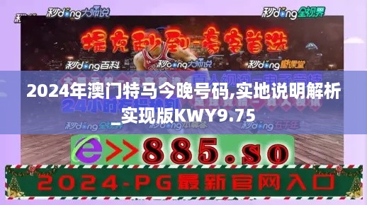 2024年澳门特马今晚号码,实地说明解析_实现版KWY9.75