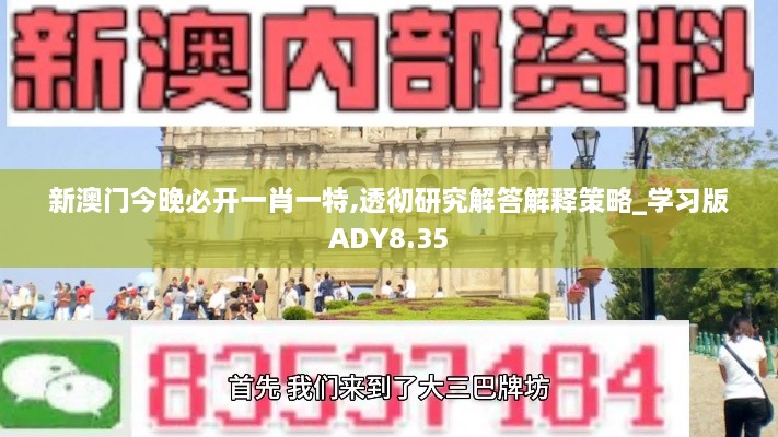 新澳门今晚必开一肖一特,透彻研究解答解释策略_学习版ADY8.35