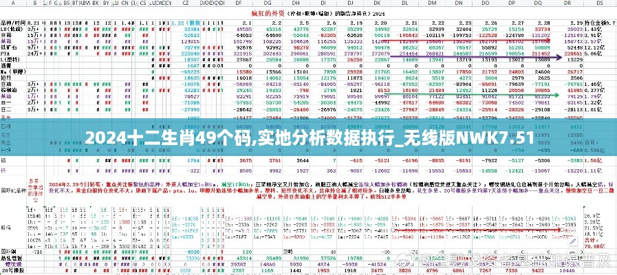 2024十二生肖49个码,实地分析数据执行_无线版NWK7.51