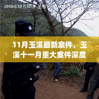 玉溪11月重大案件全面回顾，深度解析背景、事件与影响