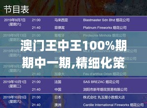 澳门王中王100%期期中一期,精细化策略落实探讨_速成版DHV7.36