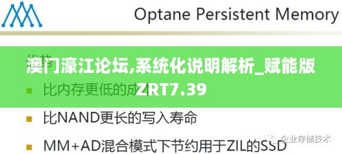 澳门濠江论坛,系统化说明解析_赋能版ZRT7.39