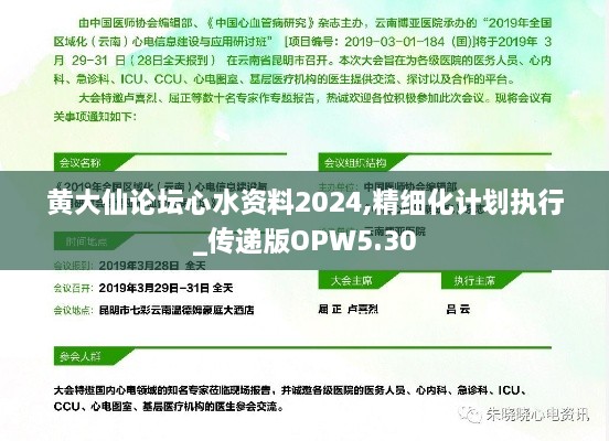 黄大仙论坛心水资料2024,精细化计划执行_传递版OPW5.30