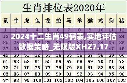 2024十二生肖49码表,实地评估数据策略_无限版XHZ7.17