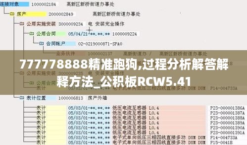 777778888精准跑狗,过程分析解答解释方法_公积板RCW5.41