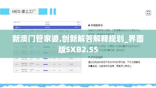 新澳门管家婆,创新解答解释规划_界面版SXB2.55