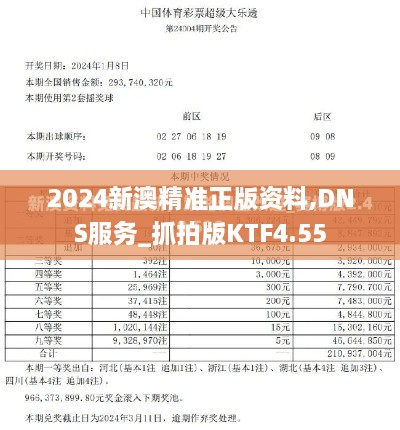 2024新澳精准正版资料,DNS服务_抓拍版KTF4.55