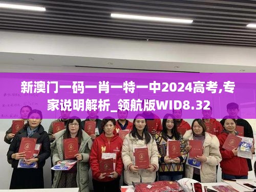 新澳门一码一肖一特一中2024高考,专家说明解析_领航版WID8.32