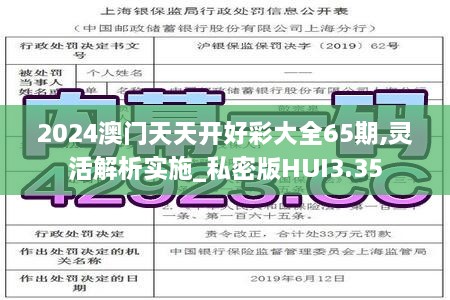 2024澳门天天开好彩大全65期,灵活解析实施_私密版HUI3.35